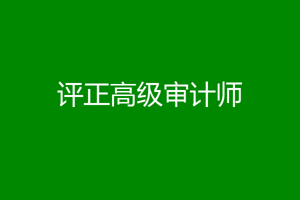 评正高级审计师
