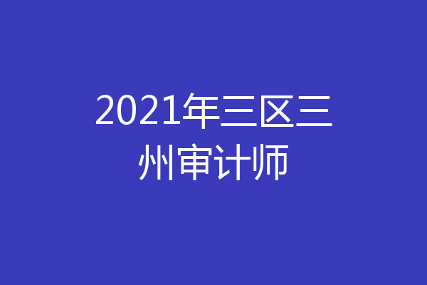 2021年三区三州审计师