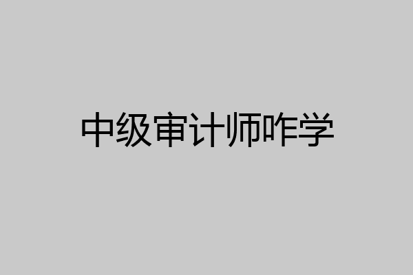 中级审计师咋学