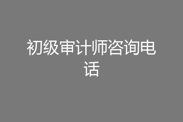 初级审计师咨询电话