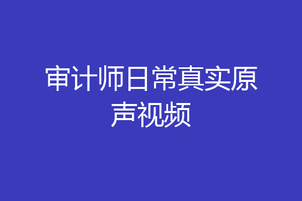 审计师日常真实原声视频
