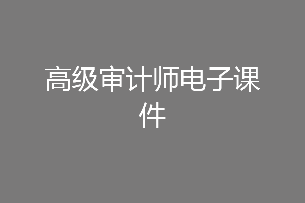高级审计师电子课件