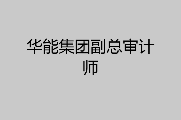华能集团副总审计师