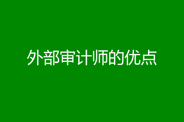 外部审计师的优点