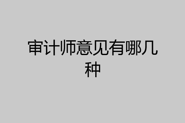 审计师意见有哪几种