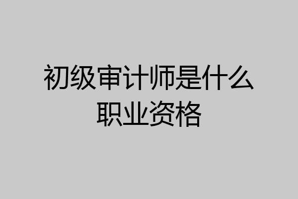 初级审计师是什么职业资格