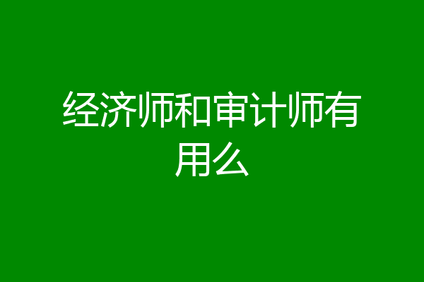 经济师和审计师有用么