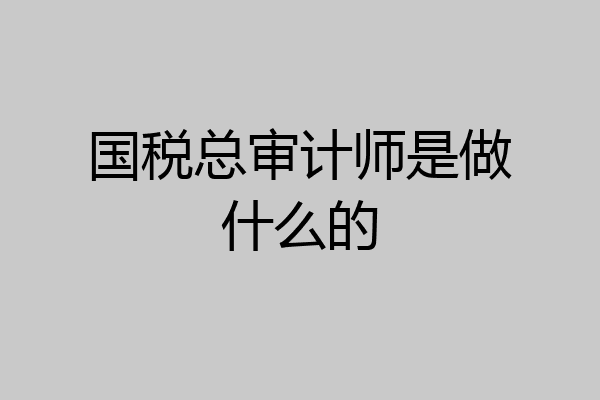 国税总审计师是做什么的