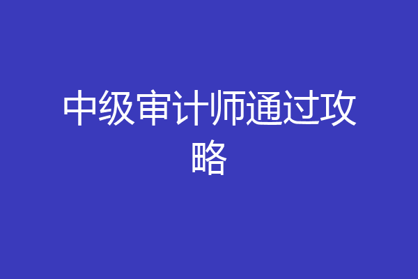 中级审计师通过攻略