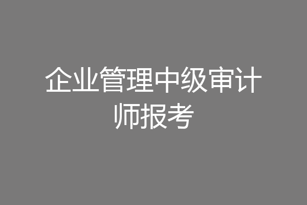 企业管理中级审计师报考