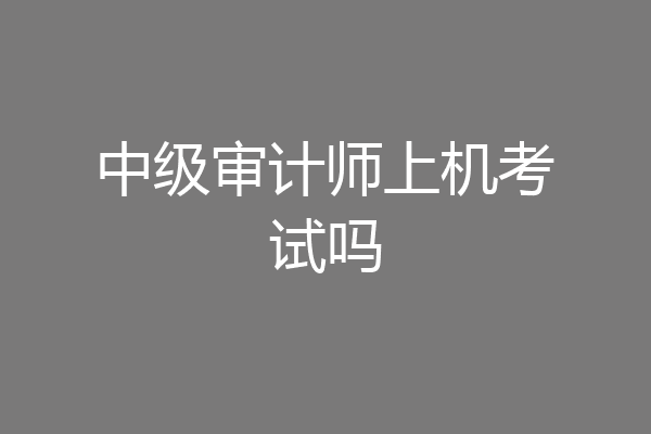 中级审计师上机考试吗