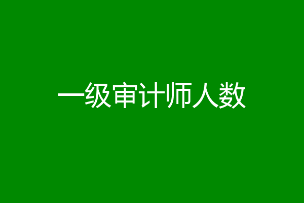 一级审计师人数