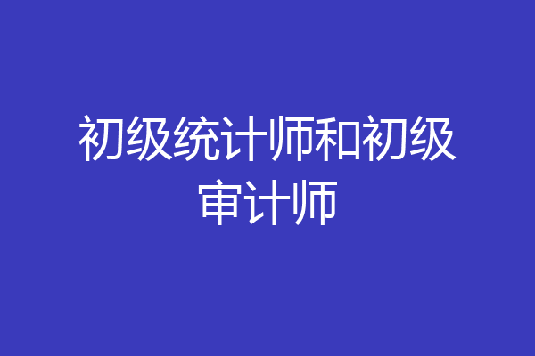 初级统计师和初级审计师