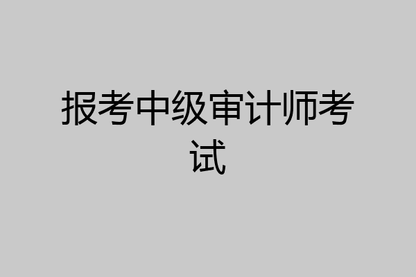报考中级审计师考试