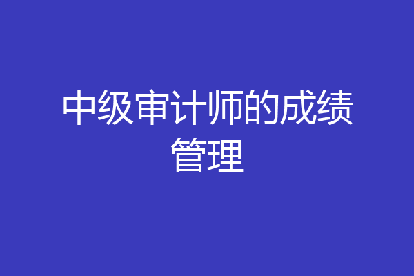 中级审计师的成绩管理