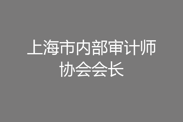 上海市内部审计师协会会长