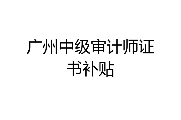 广州中级审计师证书补贴