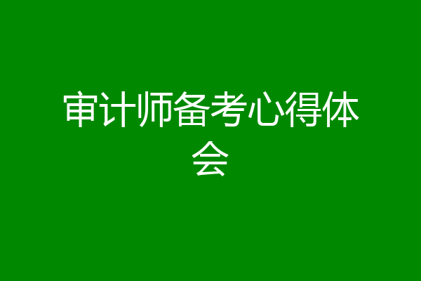 审计师备考心得体会