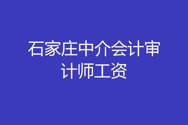 石家庄中介会计审计师工资