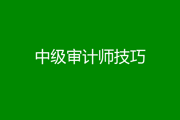 中级审计师技巧