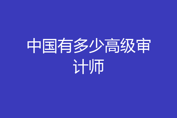 中国有多少高级审计师