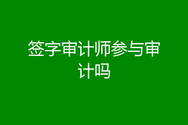 签字审计师参与审计吗