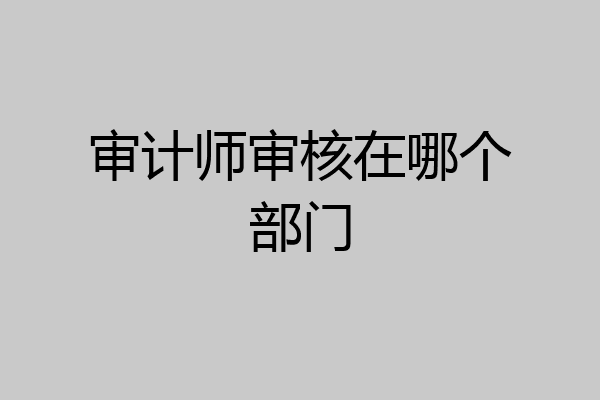审计师审核在哪个部门