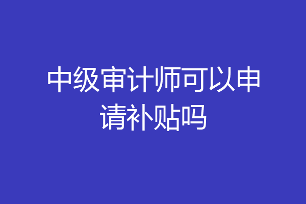 中级审计师可以申请补贴吗