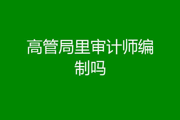 高管局里审计师编制吗