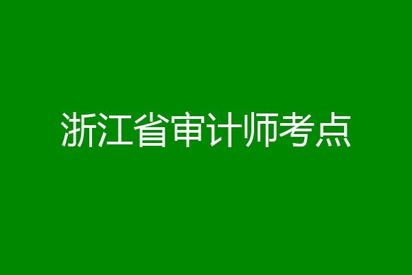 浙江省审计师考点