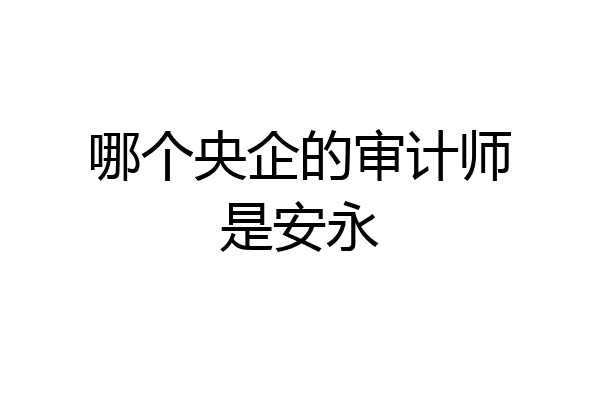 哪个央企的审计师是安永