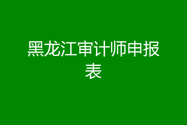 黑龙江审计师申报表