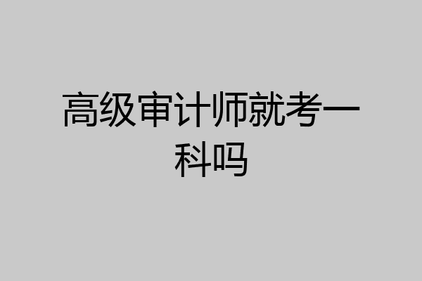 高级审计师就考一科吗