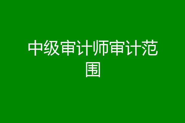 中级审计师审计范围