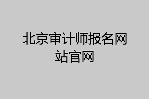 北京审计师报名网站官网