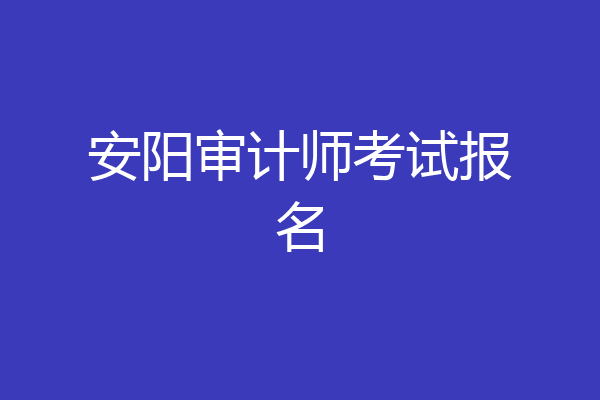 安阳审计师考试报名