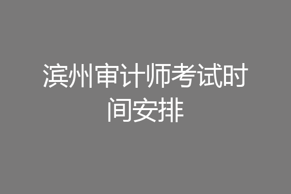 滨州审计师考试时间安排