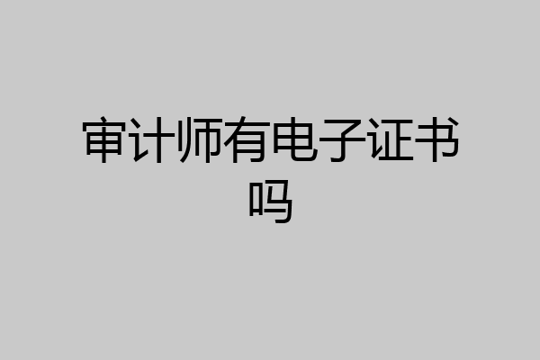 审计师有电子证书吗