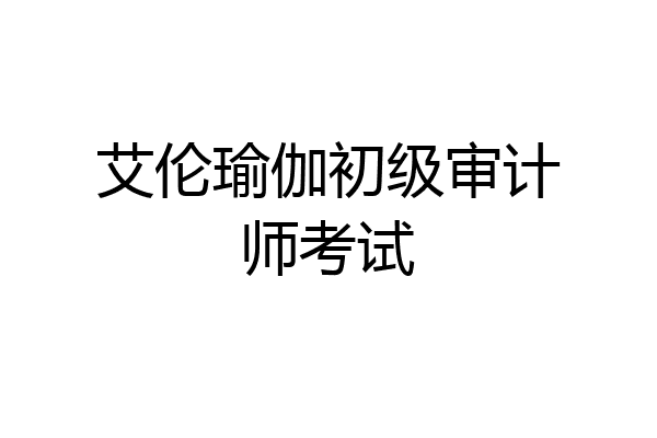 艾伦瑜伽初级审计师考试
