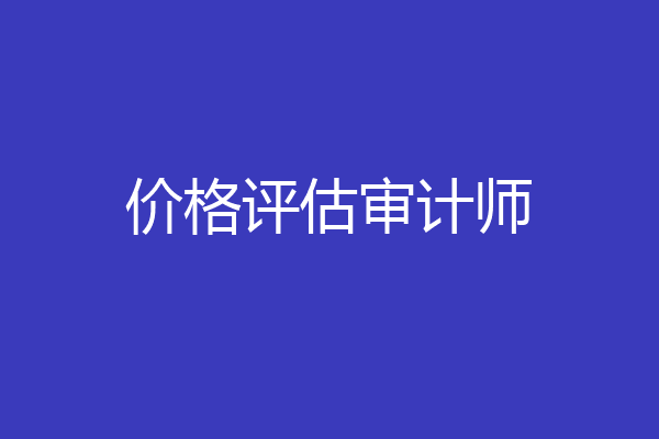 价格评估审计师