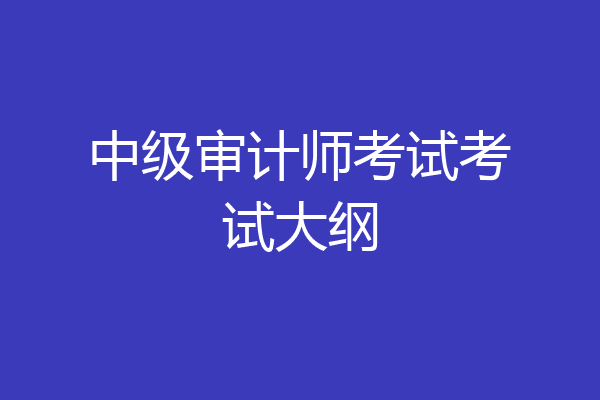 中级审计师考试考试大纲