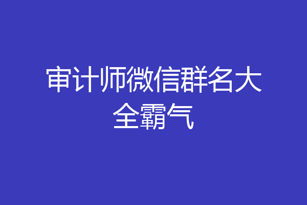 审计师微信群名大全霸气
