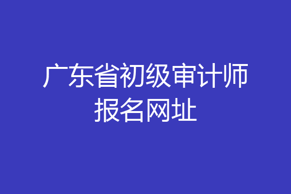 广东省初级审计师报名网址