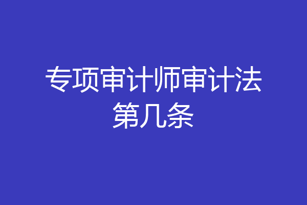 专项审计师审计法第几条