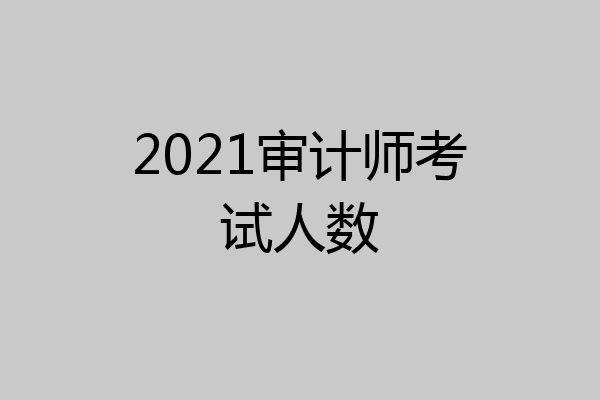 2021审计师考试人数
