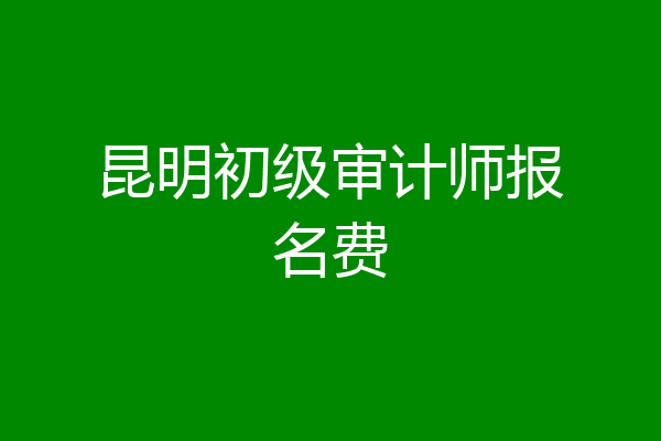 昆明初级审计师报名费
