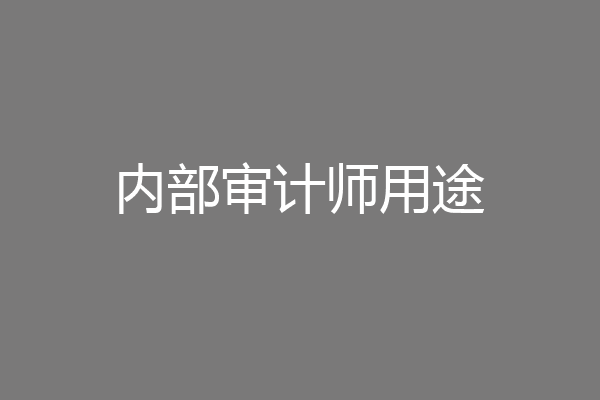 内部审计师用途