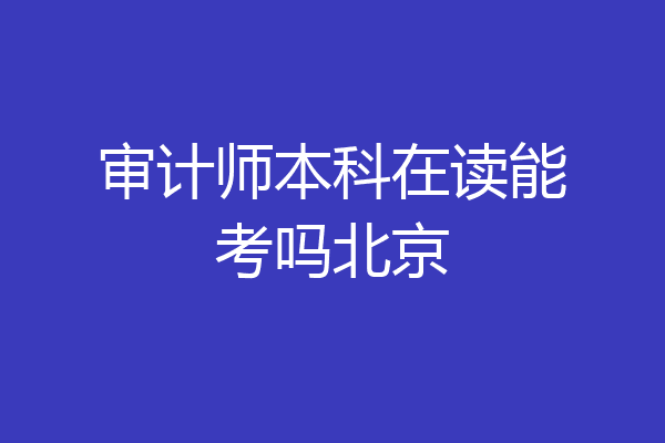 审计师本科在读能考吗北京