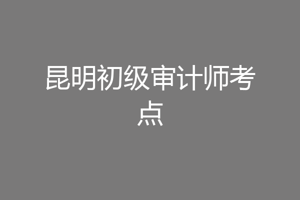 昆明初级审计师考点