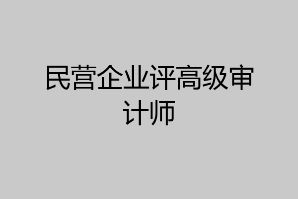 民营企业评高级审计师